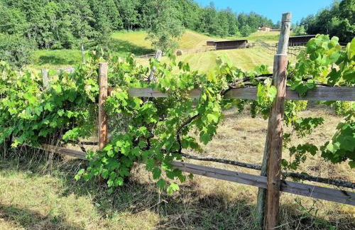 Oasi di pace nella Val di Taro - Photo 28