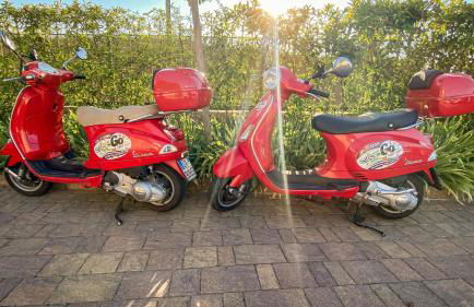 La Rosa Gialla Bio Apartments & rooms - Foto 54