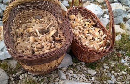 Casa Rural Rebost - Foto 55