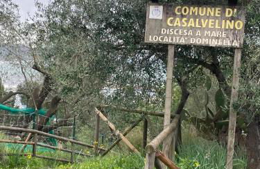 Terrazza Ammare - Foto 26