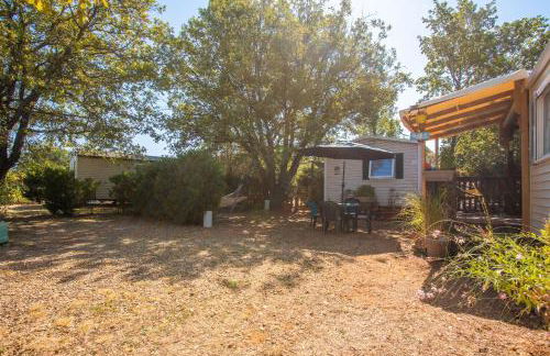 Salamandre - Foto 15