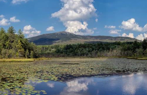 Luxury Farm Stay-Bonds Corner Bungalow-Wolf Pine Hollow - Foto 73