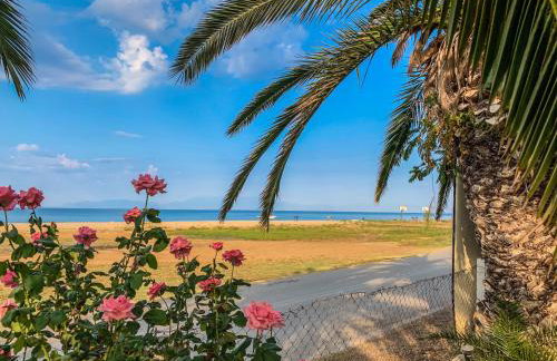 Galinis' Sea Front Studios - Foto 10