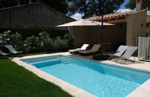 Air-conditioned villa heated pool Alpilles, sleeps 8 LS1-456 - Foto 9