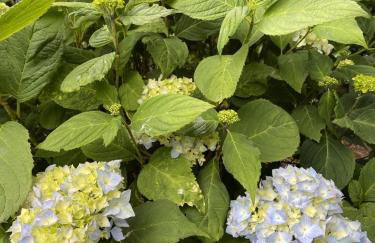 Galloway Farmstay Claunch - Foto 29