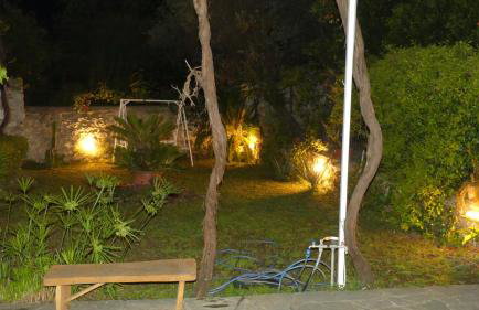 Art Flowers and Culture - Foto 19