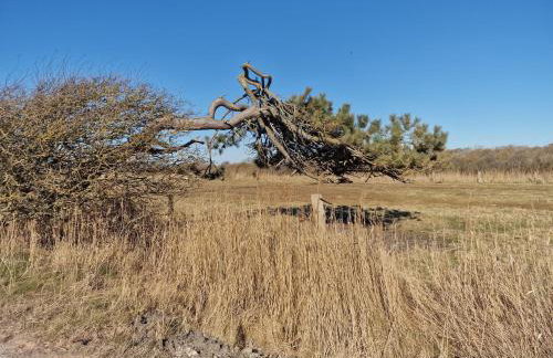 Haus-Fehmarn-am-Dorfteich-|-Wohnung-3-Nord - Foto 53