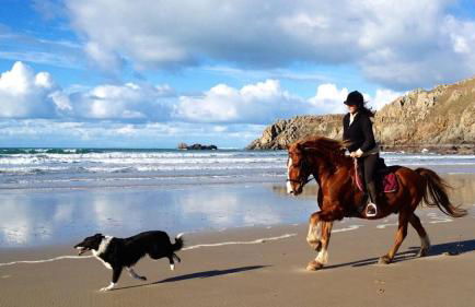 Dernier Ecolodge avant NewYork - Foto 22