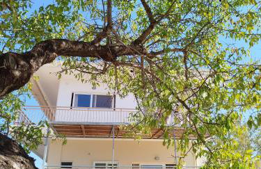 Nereids Apartments-Pronoe - Foto 28