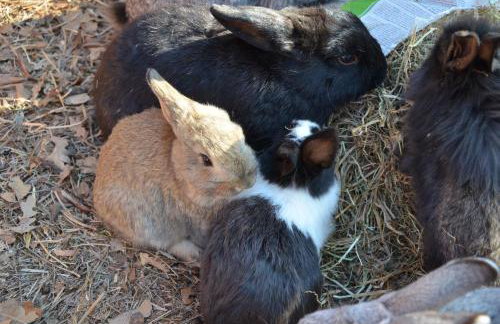 Apartmenthaus Sabine - Photo 75