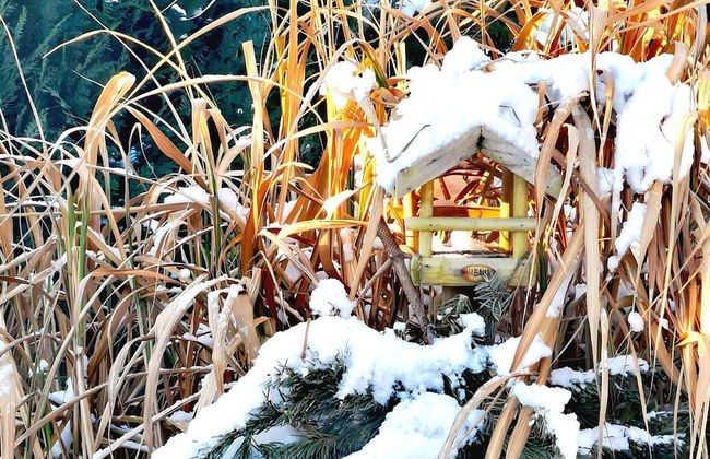 Huebsche Ferienwohnung in Lubmin mit Blick auf Ruegen - Foto 28