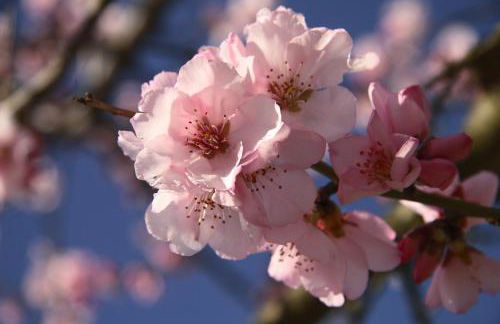Ferienwohnung in ruhigem Viertel - Foto 19