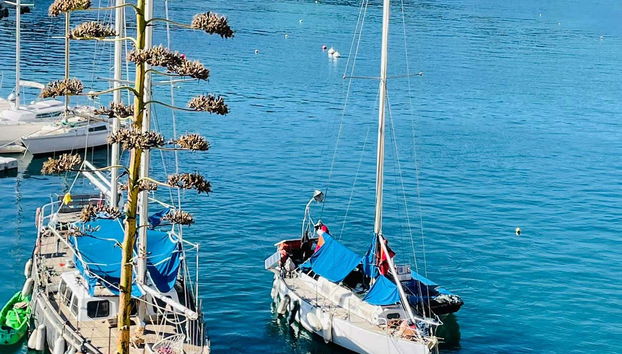Calanques National Park Hike - Foto 5