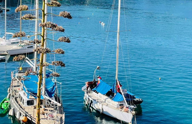 Calanques National Park Hike - Photo 5