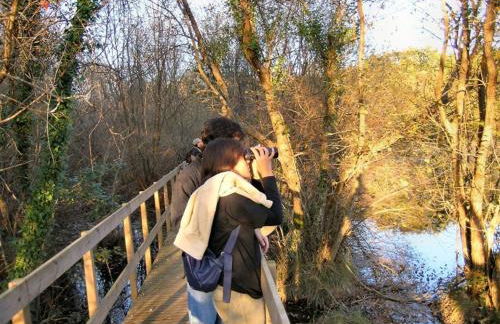 Casa D' Joao Enes - Afife Residence - Foto 13