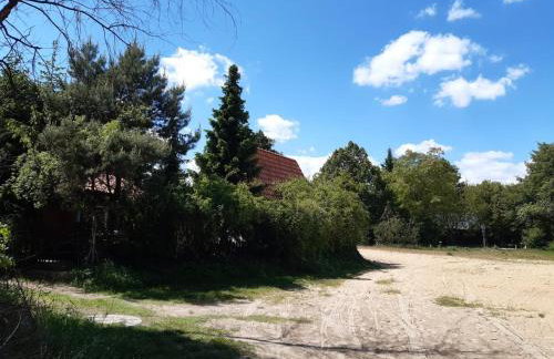 LUNA nad jeziorem Wojnówko gm Murowana Goślina - Foto 19