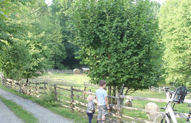 Milire Garden Family Home - Foto 22