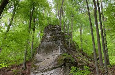 JURA DOM www SOKOLNICA PL - Foto 27