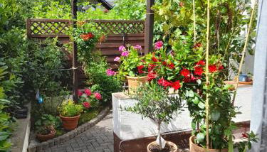 FeWo Karola - Foto 2