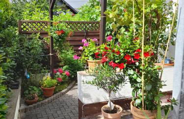 FeWo Karola - Foto 2