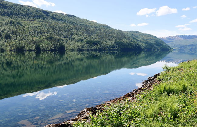 Haukedalspanorama - Foto 25