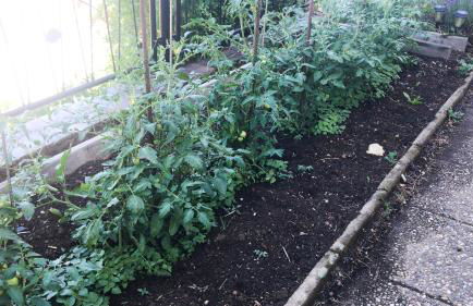 Schlossberg Apartments & Garten in der Natur & unweit vom "Thüringer Meer" - Foto 69