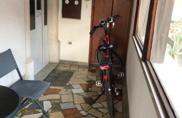 Olive Tree Apartments - Photo 45