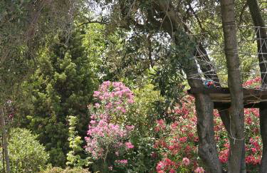 Amaryllis Summer Maisonettes - Foto 9