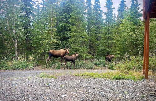 Knik Wilderness Getaway - Foto 18