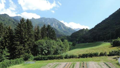 al Profilo di Napoleone - Foto 3