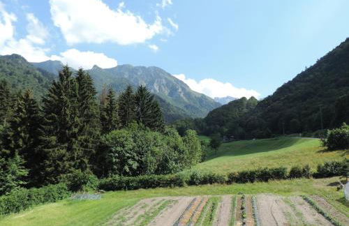 al Profilo di Napoleone - Photo 3