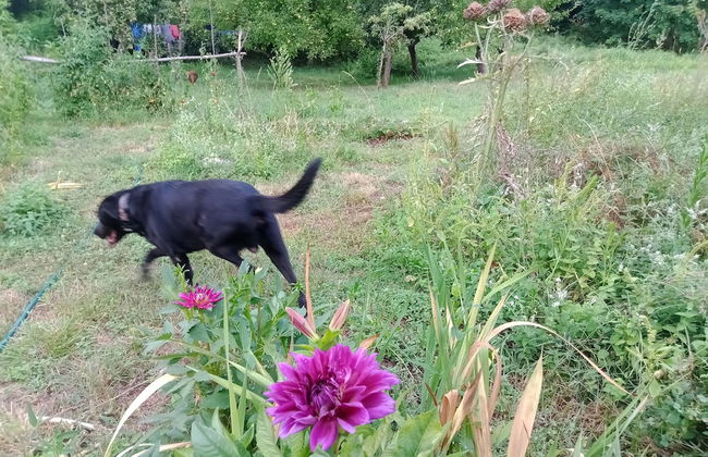 Castro Caldelas - Cottage - Sleeps 2 - Petfriendly - Foto 23