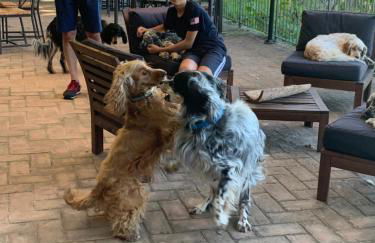 SetterHouseAgriHotel - Photo 57