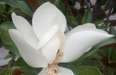 Penamacor Cozy Nook House - Foto 21