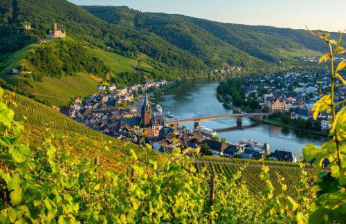 Ferienhaus Kövenig - Foto 40