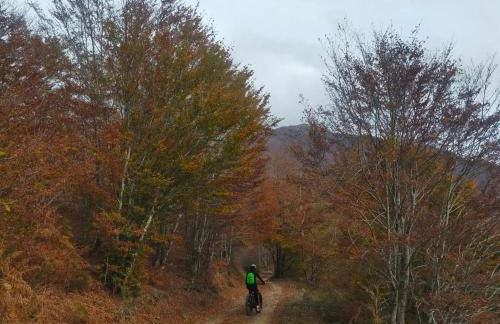 Da Castruccio degli Antelminelli - Foto 28