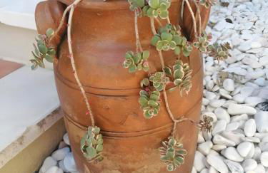 Casa de Jardim - Foto 32