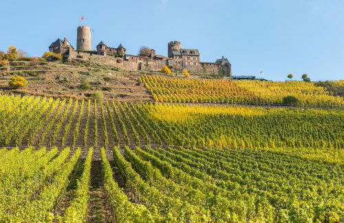 Landhaus Zimmermann - Foto 46