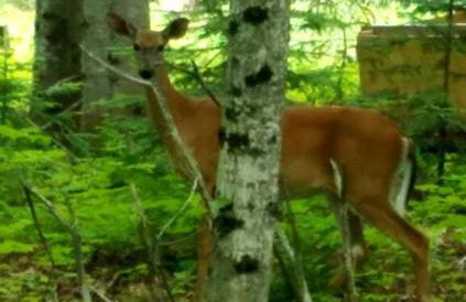 Sandy Hollow - Photo 26