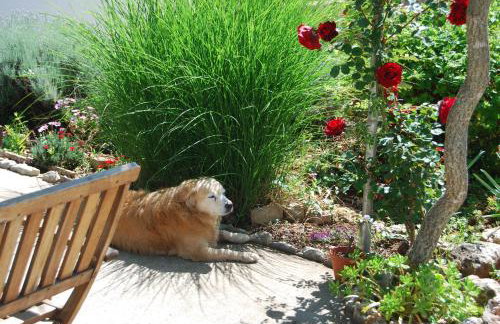 Rustic Holiday Home Miketa - Foto 54