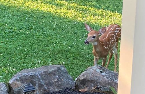 Lux Home 5 min to Train and Airport - Foto 54