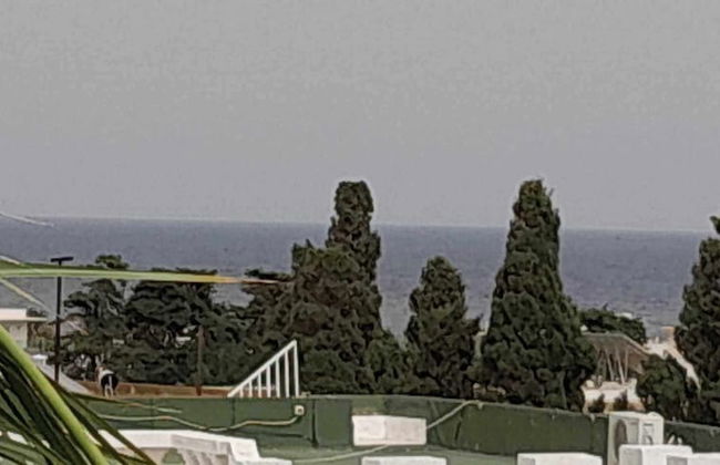 Dar Lella - Photo 10