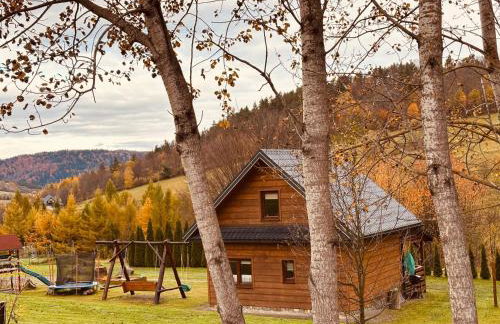 Bieszczady Żubrowe Wzgórze 785-049-543 - Foto 25