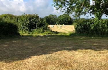 Swallows Return - Foto 28