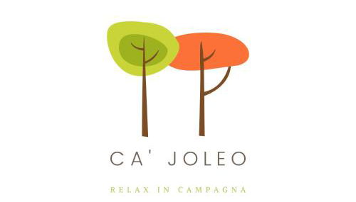 Ca'Joleo - Relax in Campagna del Lago di Garda - Foto 2