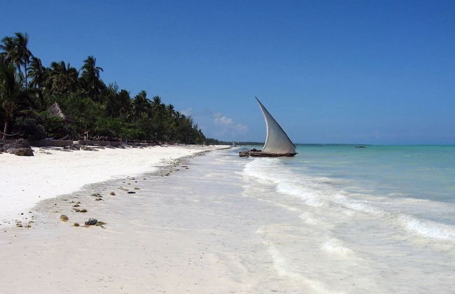 Villa - Right on the Beach, Under the Coconut Trees, Sleeps 10, Pool, Chef - Foto 28