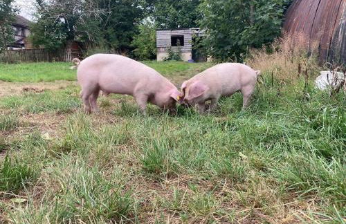 The Panthouse Lodge - Foto 14