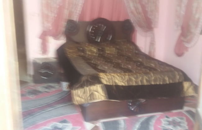 Roma Apartments - Photo 3