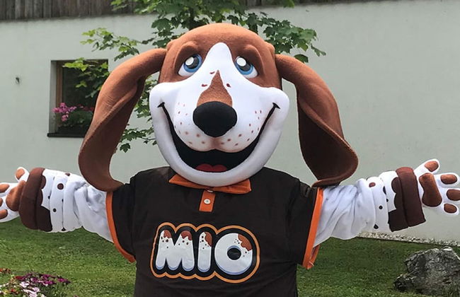 Luxurious, Spacious Suite Near Maastricht - Photo 30