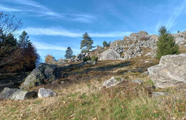 Apartment in Tannesberg Near Goldsteig Trail - Foto 34